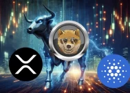 XRP， ADA和DOGEN：加密货币价格走势的关键趋势